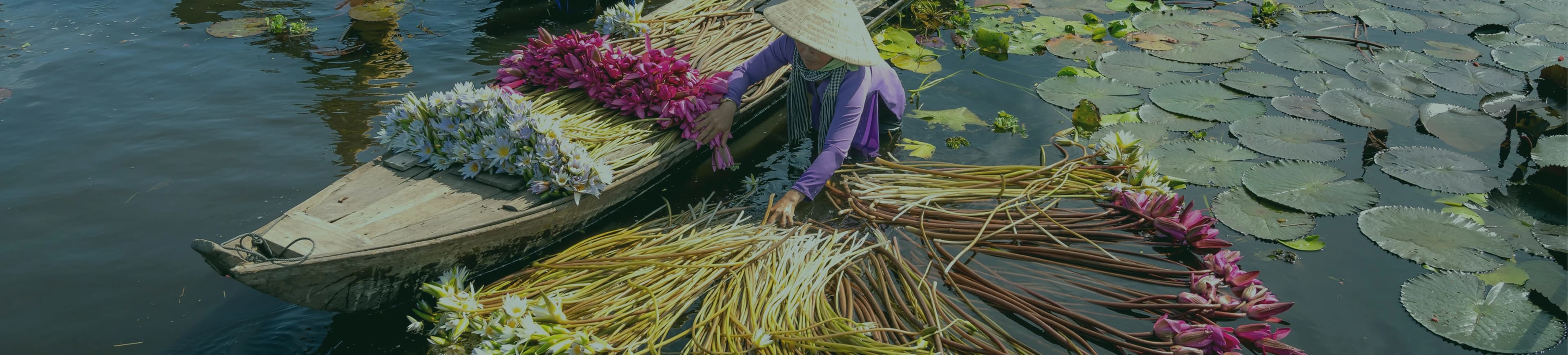 About UNRUSH in Vietnam