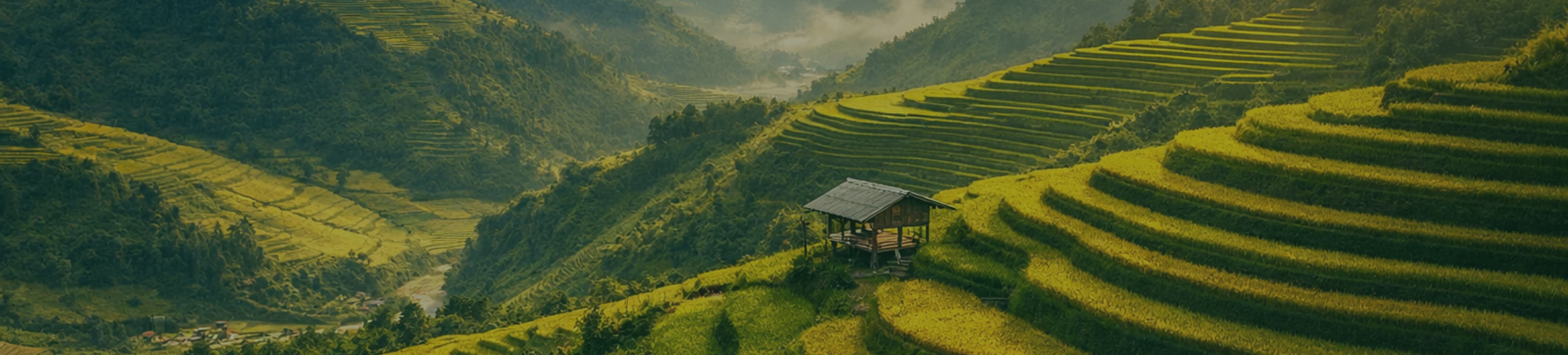Travel to Vietnam