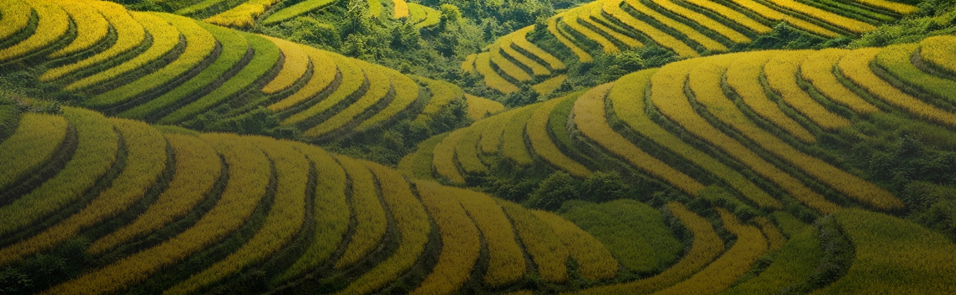 The Ultimate Slow Travel Guide to Vietnam: Experience the Country the Meaningful Way