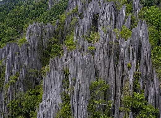 Le rôle des agences de voyage lent en Malaisie