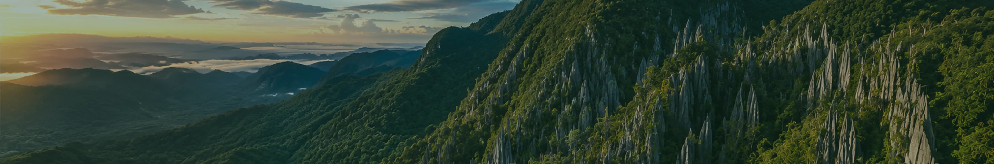 Travel to Malaysia