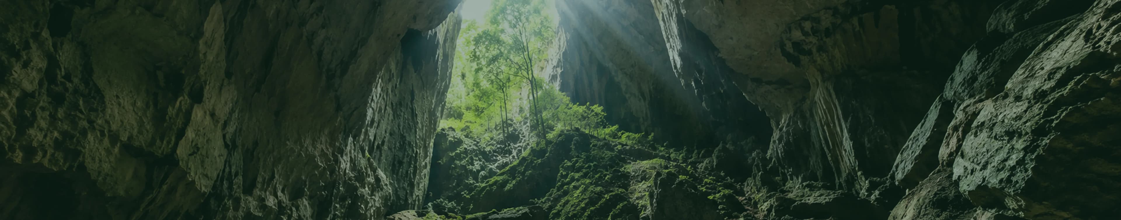 Plan your journey to Malaysia