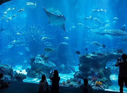The Role of Slow Travel Agencies in Singapore