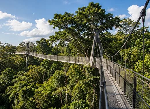 Understanding Singapore Through Structure