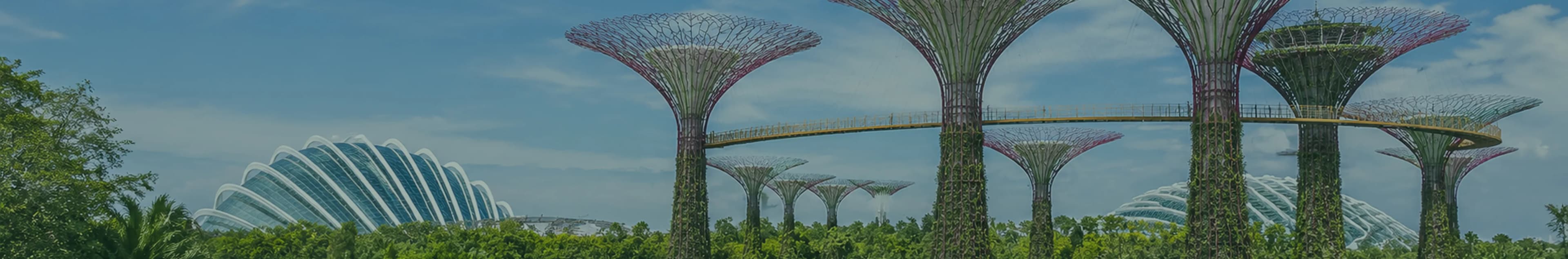 Travel to Singapour