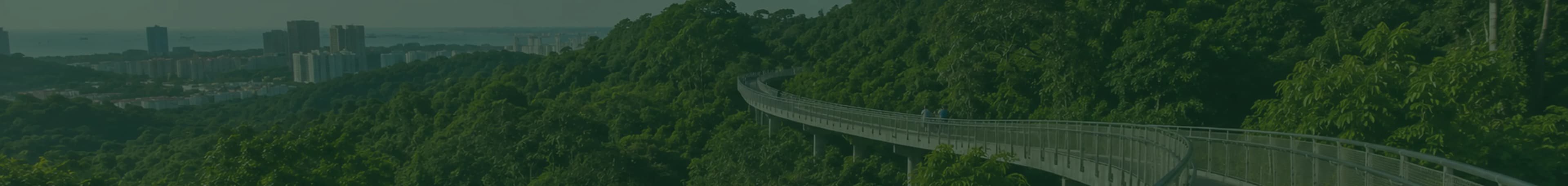 Scenic travel landscape inviting you to start your journey