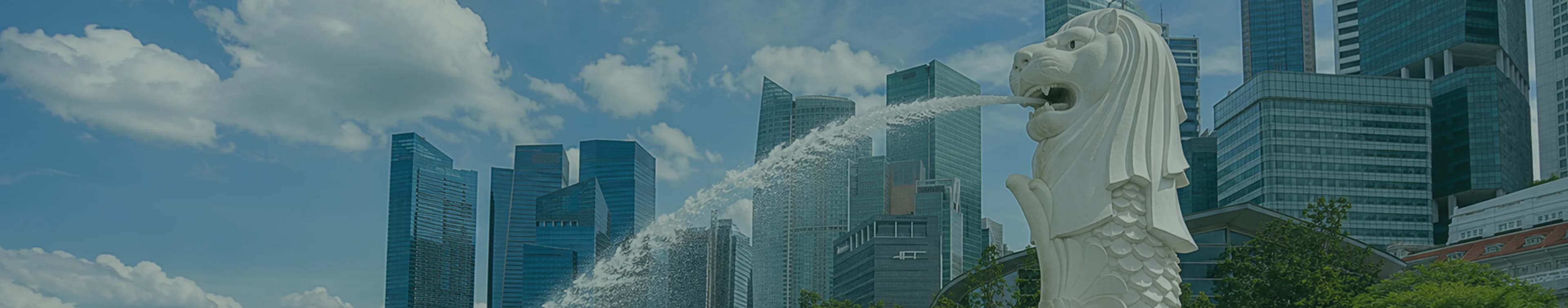 Travel guides for Singapour