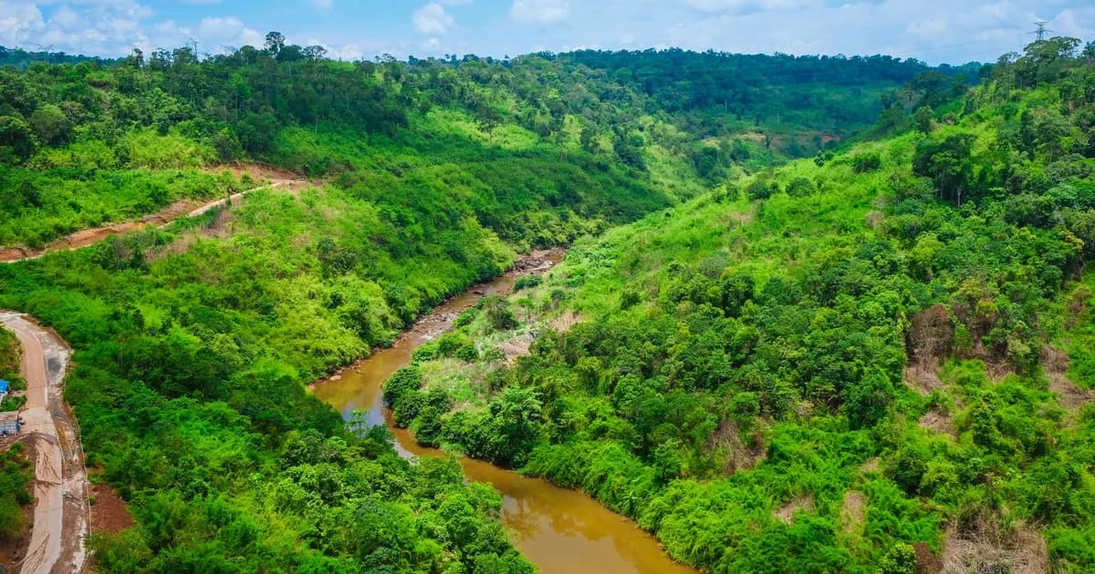 Le virage forestier du Cambodge : l'écotourisme communautaire dans les Cardamomes et le Nord-Est