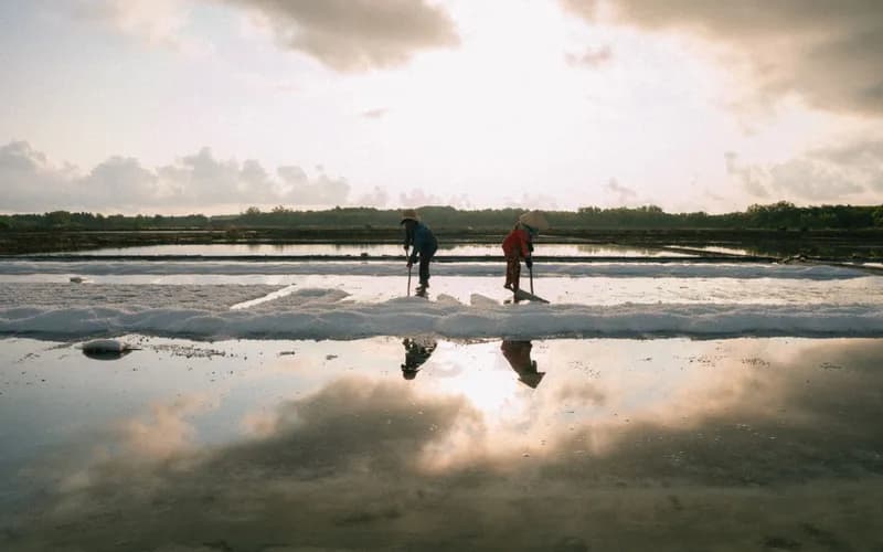 kampot salt fields