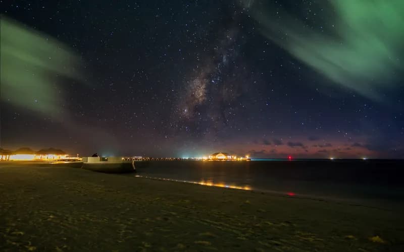 plancton bioluminescent