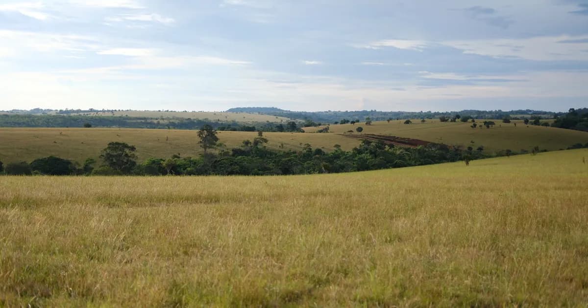 Mondulkiri : les hauts plateaux verts du Cambodge, éléphants éthiques et nord-est lent