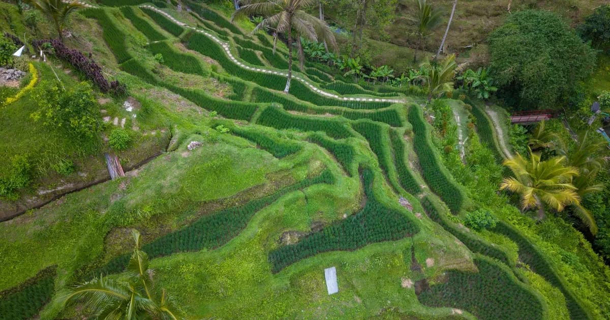 Bali's Building Moratorium: The Fight Against Overdevelopment in 2026