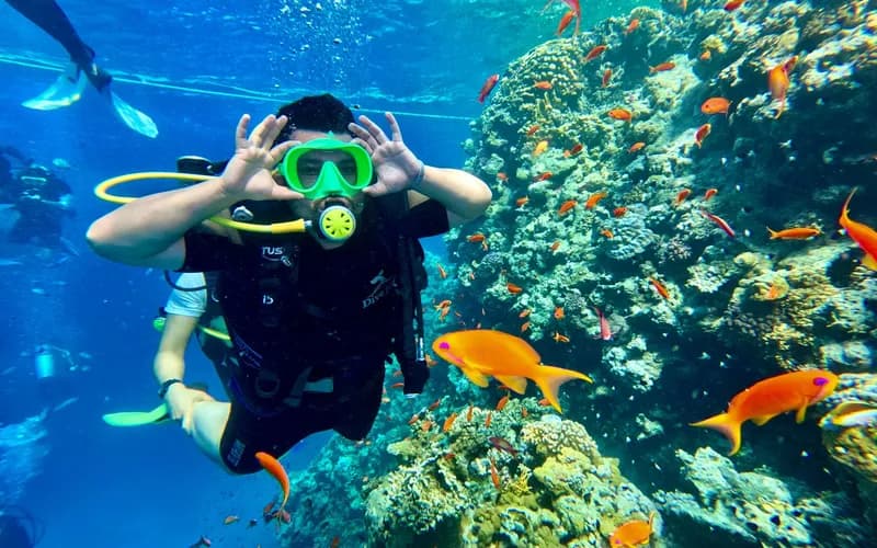 scuba diver coral reef