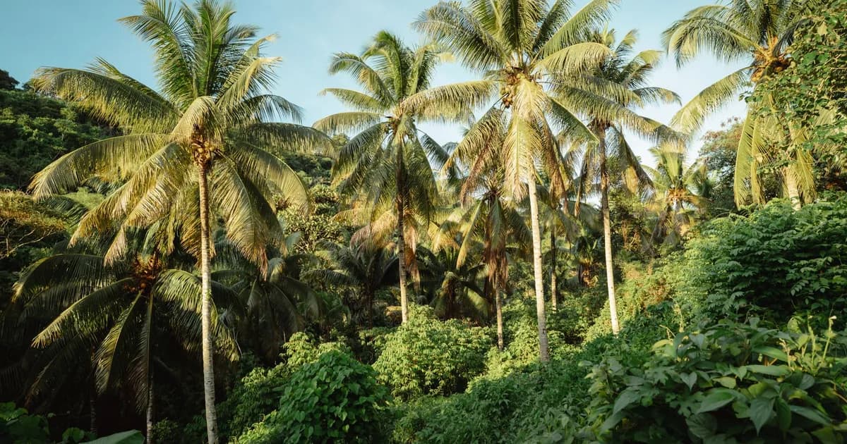 How to Travel Indonesia in the Rainy Season