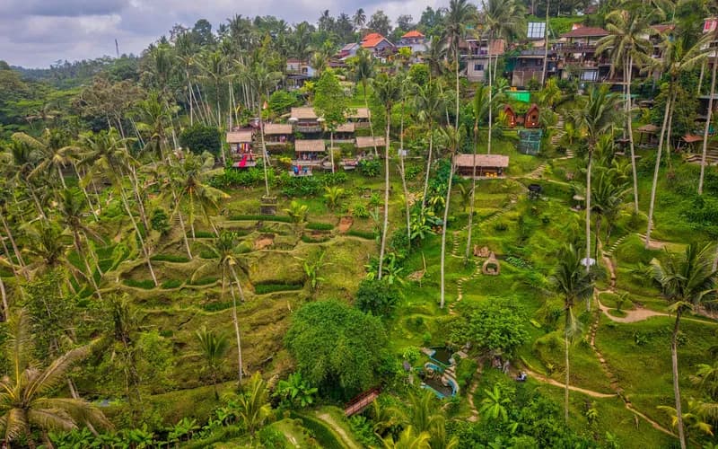 homestay village rizières