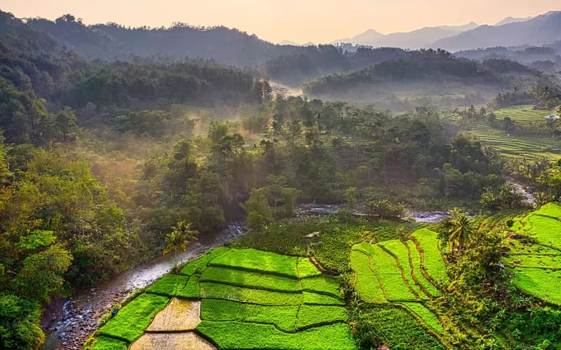 java train rice terraces window