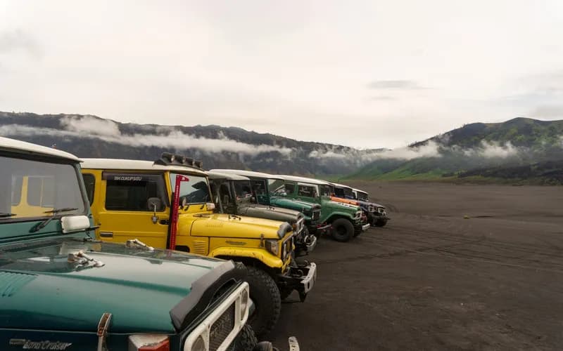 bromo savannah jeep