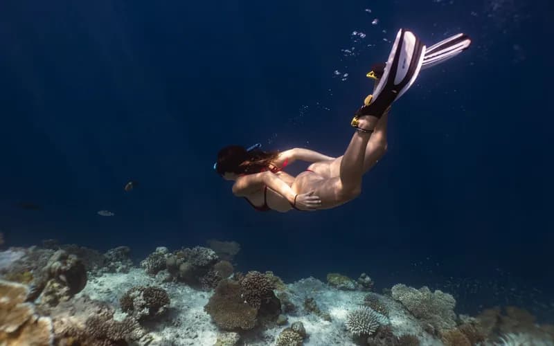 snorkeling île de rubiah