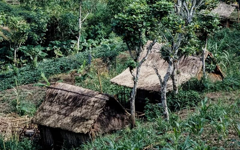 maisons aux toits pointus village sumba