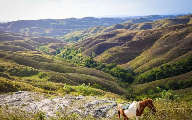 chevaux plage déserte sumba