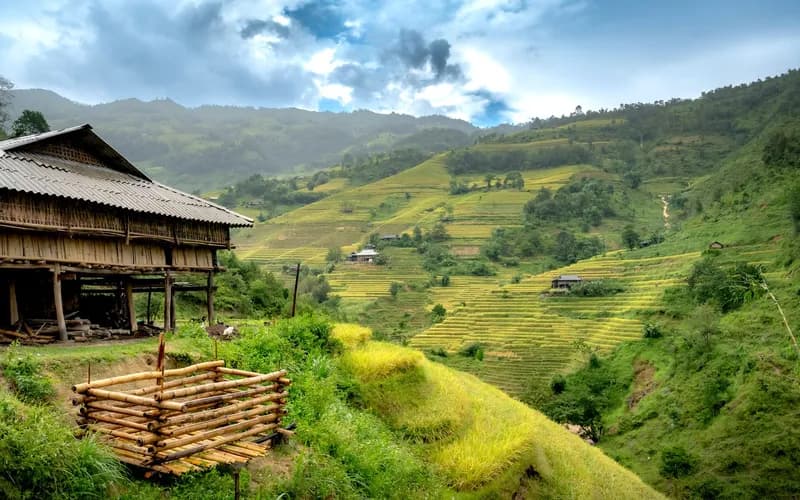 toraja rice terraces highlands