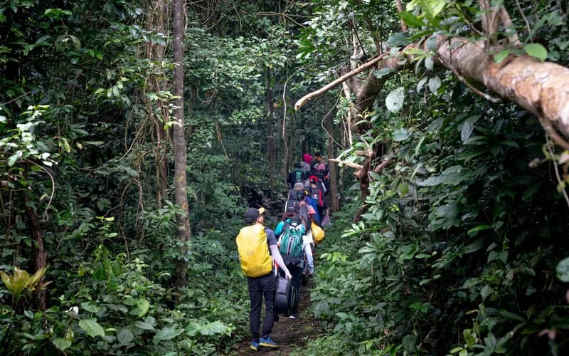 forest trail hikers