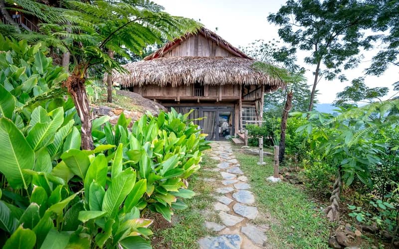 wooden eco lodge jungle