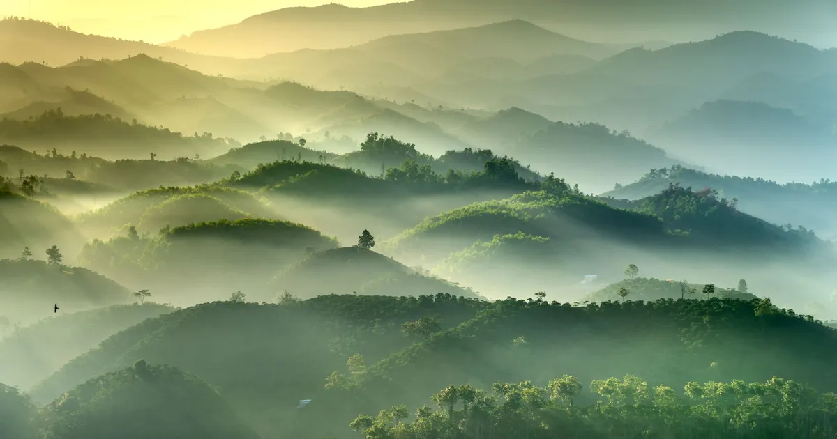 La saison des fumées : comment la brume redessine le calendrier du voyage au Laos