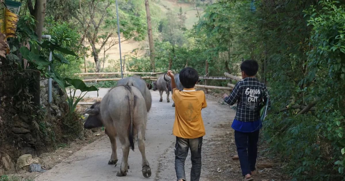 Staying Safe from UXO in Laos: A Traveller's Guide