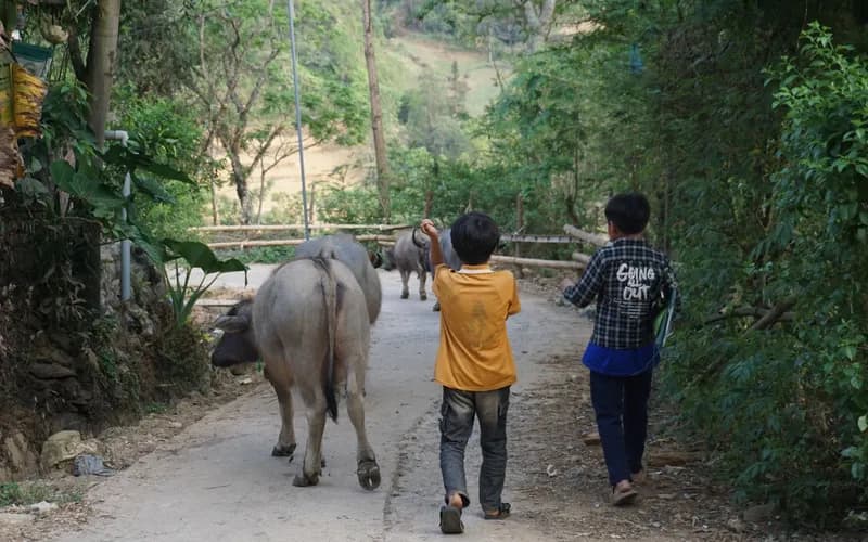 laos countryside path