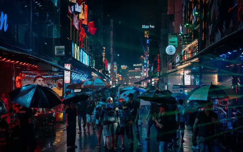 monsoon rain umbrella