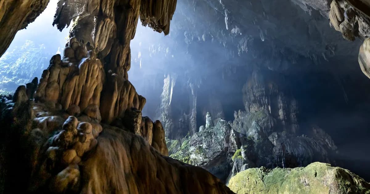 Gunung Mulu sans se presser : grottes, chauves-souris et forêt de Sarawak
