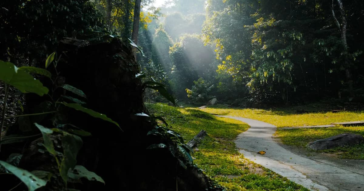 How to Hike in Malaysia: Permits, Guides, Leeches and Trail Sense