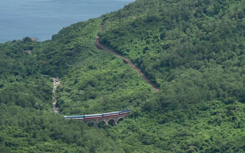 jungle railway forest