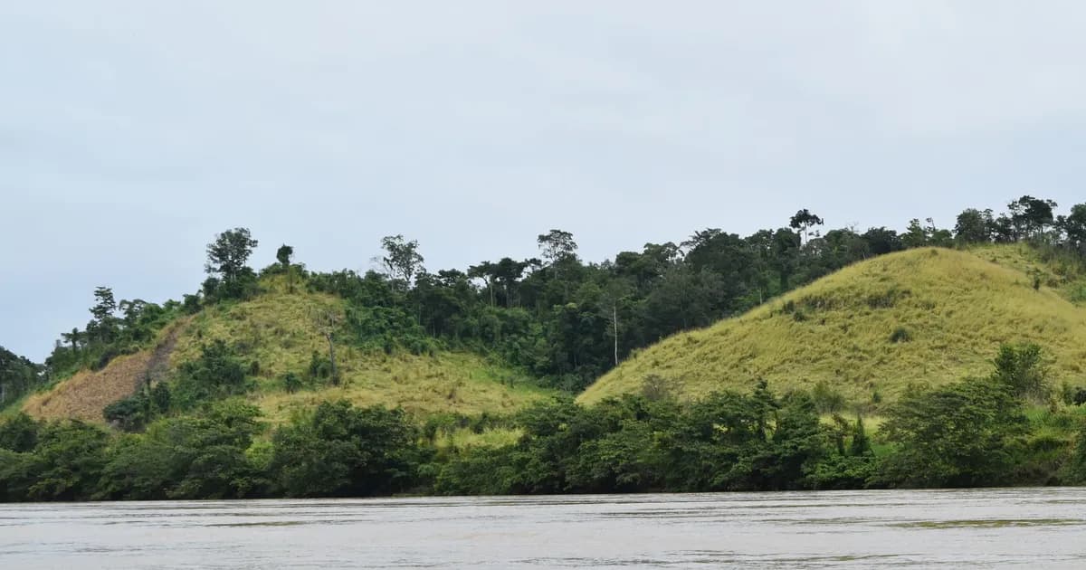 Sandakan et la Kinabatangan : des jours lents avec la faune de l'est du Sabah
