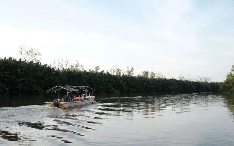 bateau rivière tropicale