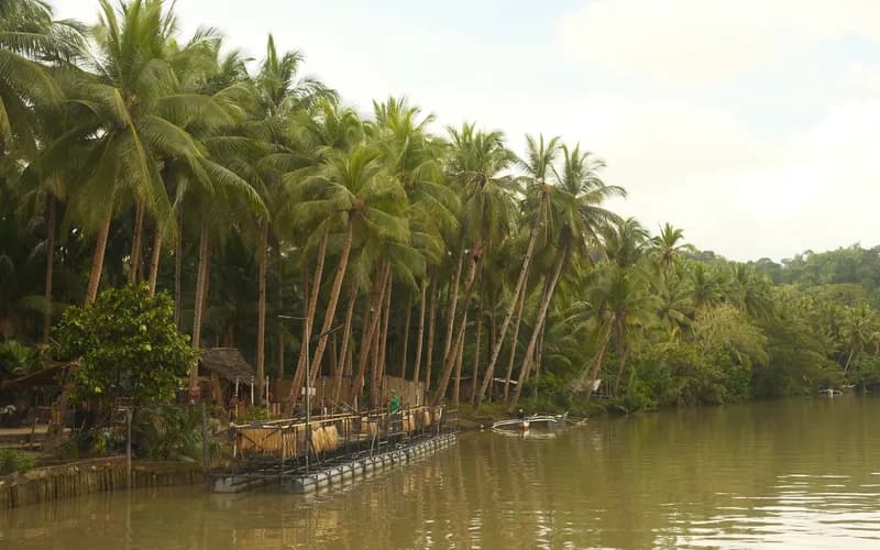 loboc river philippines