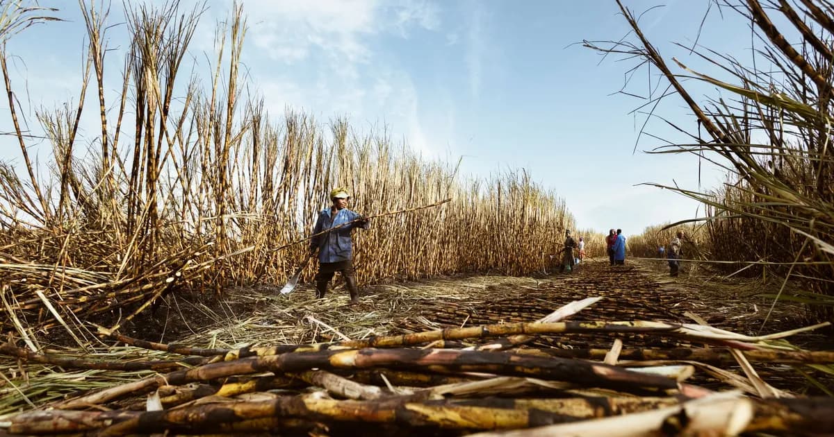 Negros au ralenti : pays du sucre, pentes volcaniques et côtes tranquilles