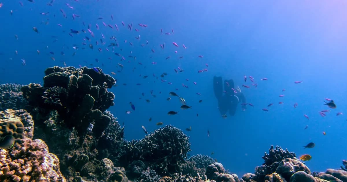 The Philippines' Diving Renaissance: Coral, Conservation and Slow Travel Underwater in 2026