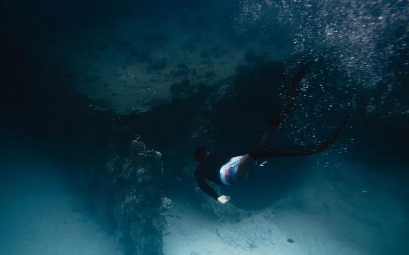 scuba diver reef