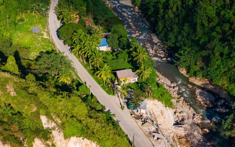 rural road palm trees