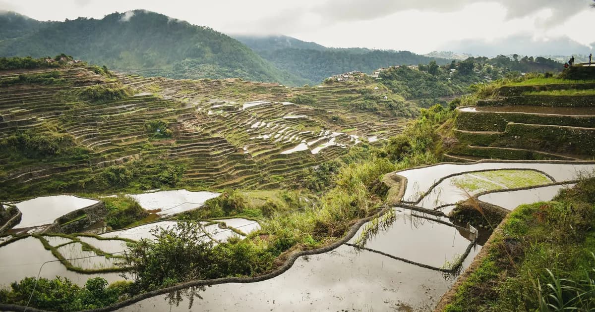 L'essor du tourisme à la ferme aux Philippines : comment les séjours ruraux redessinent le voyage en 2026