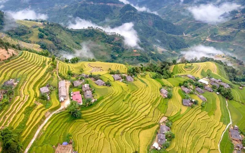 rizières de batad