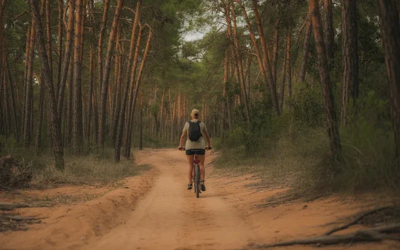 vélo sentier forestier