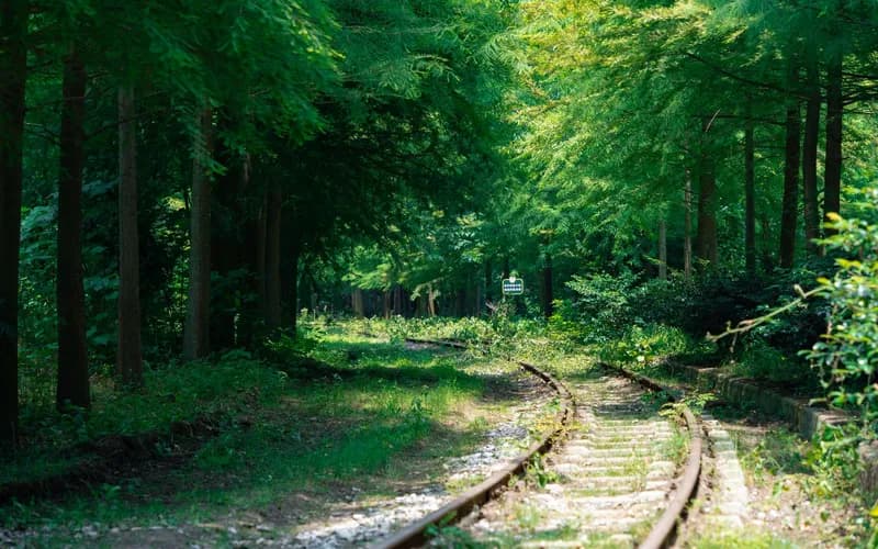 sentier vert du corridor