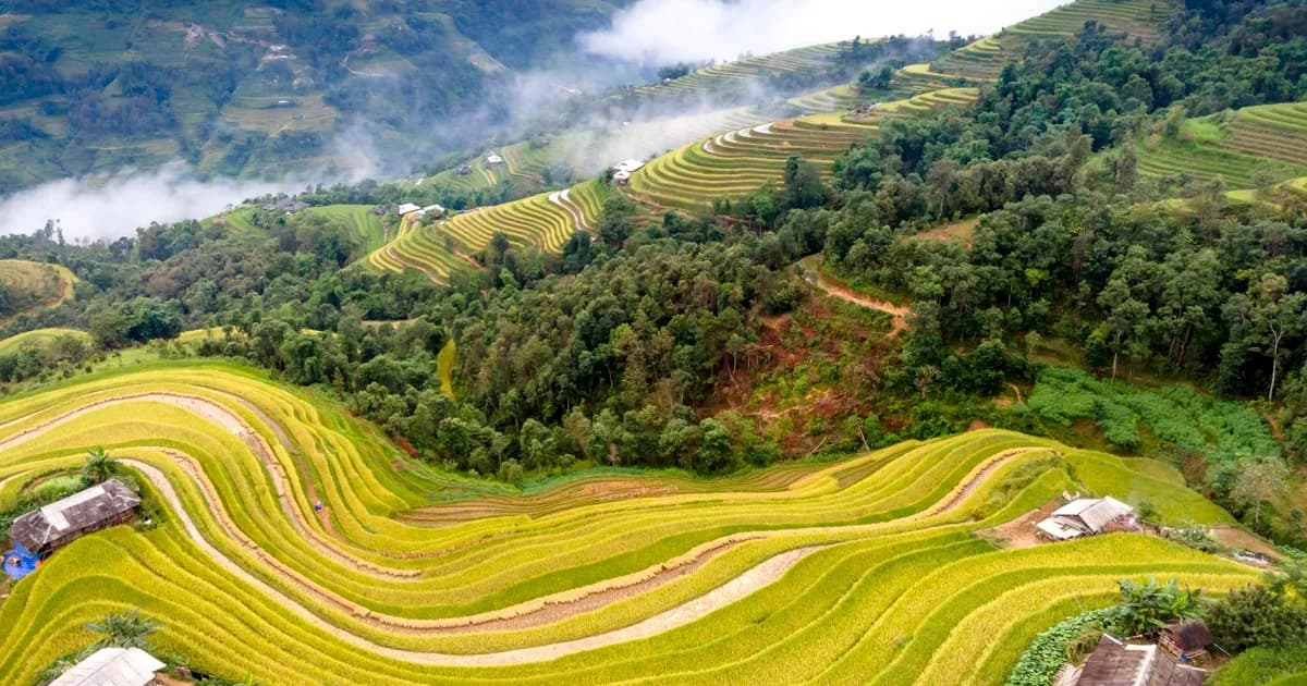 Comment randonner de façon responsable dans le nord de la Thaïlande : itinéraire, guide et nuit au village