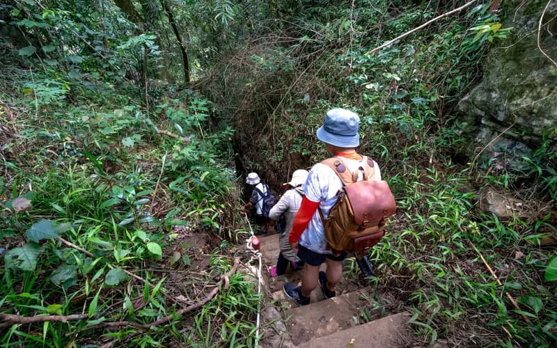 sentier de randonnée dans la jungle