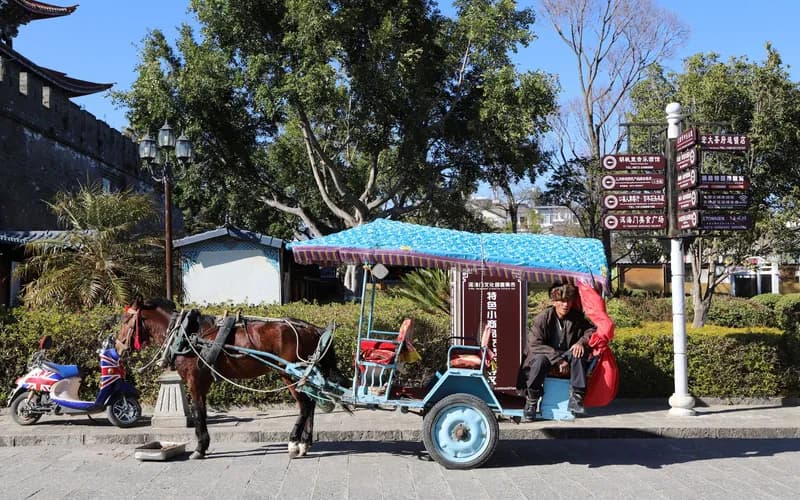 calèche lampang vieille ville