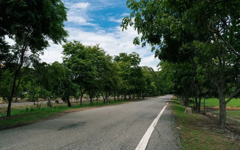 empty border road