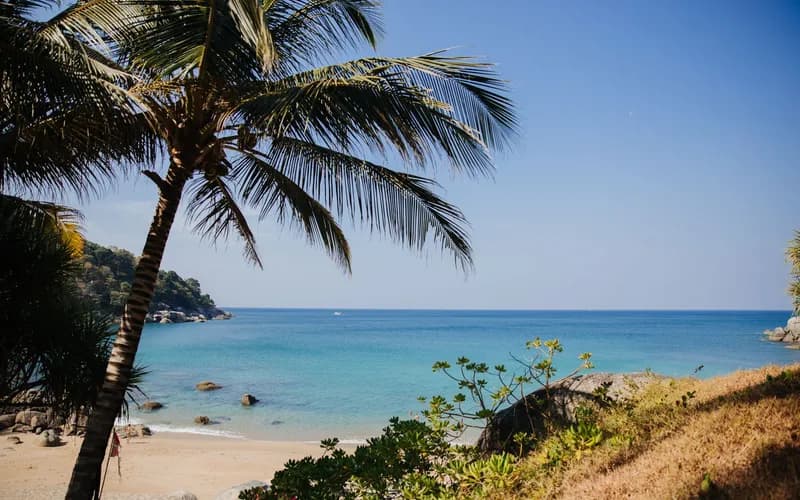plage tropicale dégagée